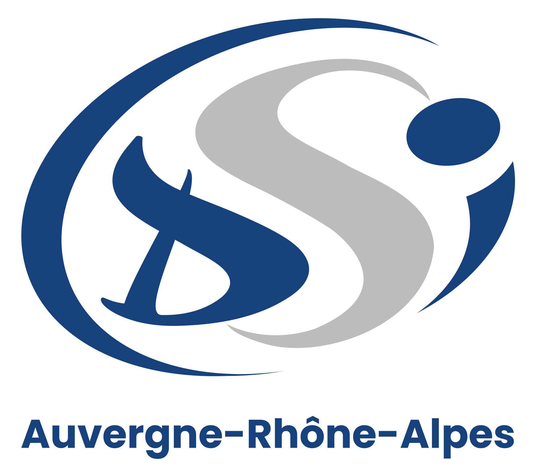 Logo de la structure Distribution Services Industriels