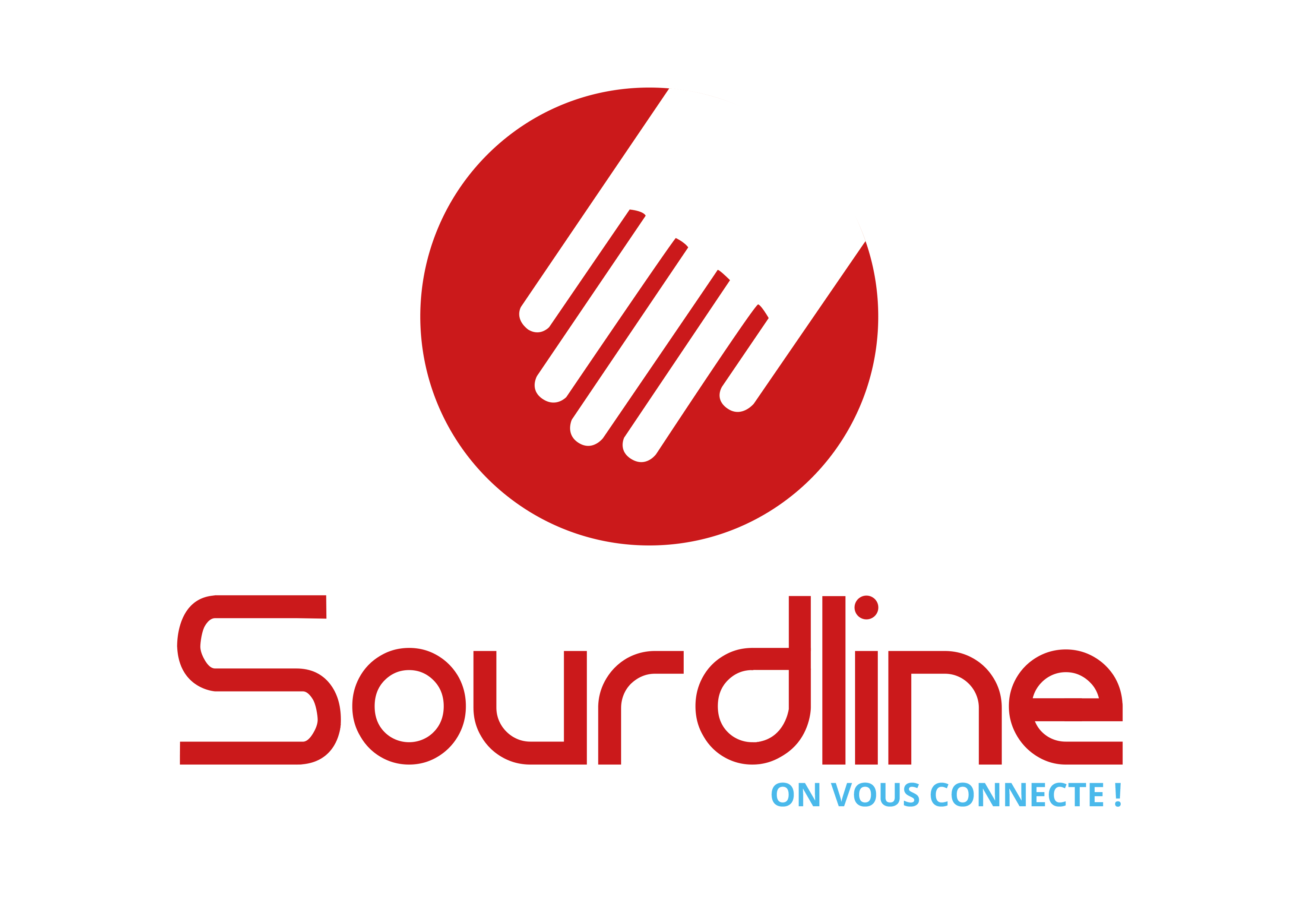 Logo de la structure Sourdline Developpement