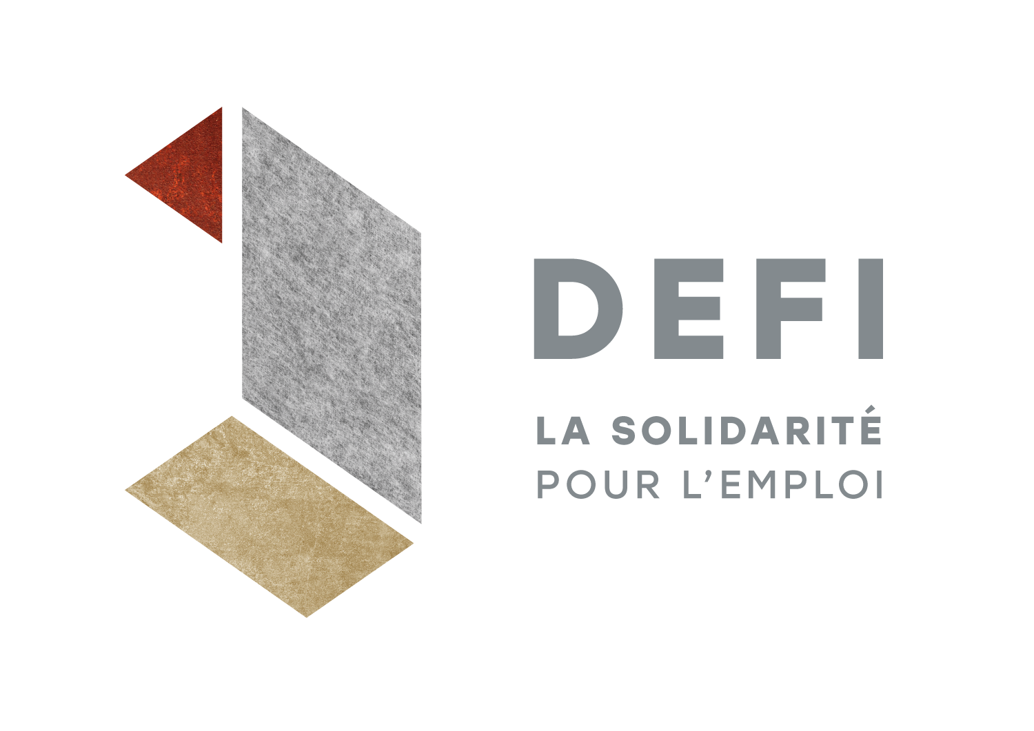 Logo de la structure ASSOC DEFI