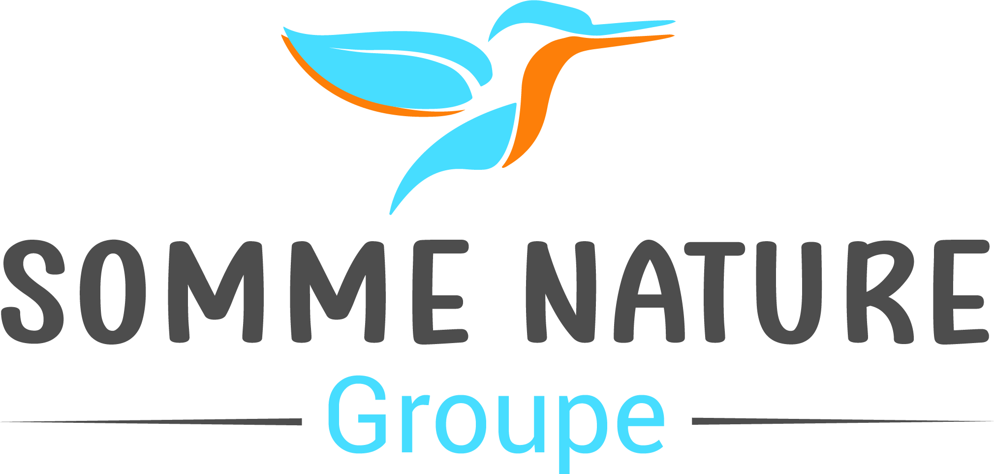 Logo de la structure ASS SOMME NATURE