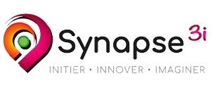 Logo de la structure SYNAPSE 3I
