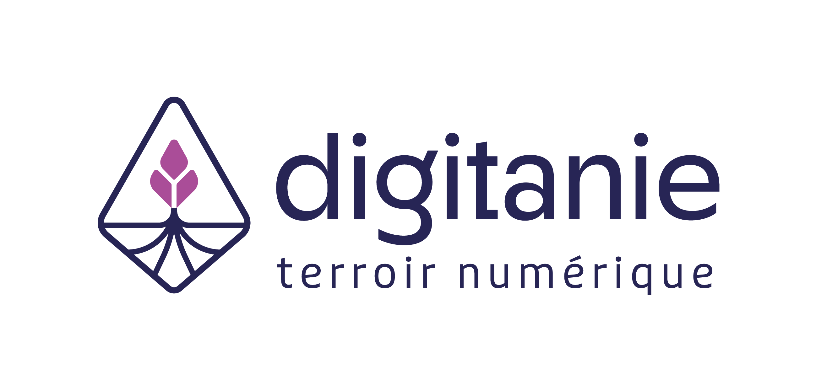 Logo de la structure DIGITANIE