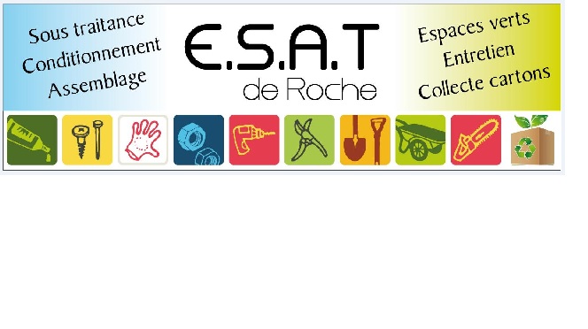 Logo de la structure ESAT de ROCHE