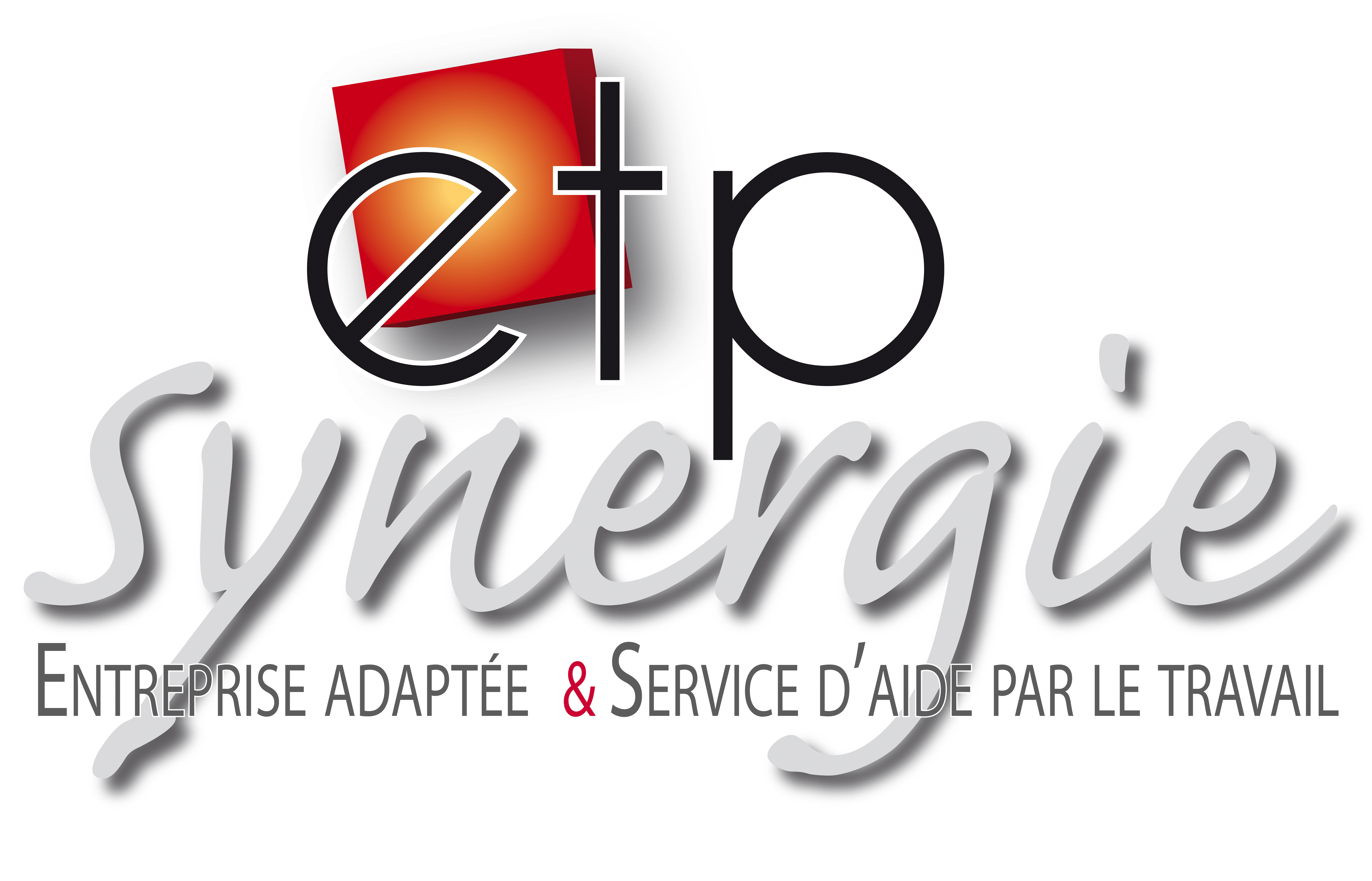 Logo de la structure ESAT ETP SYNERGIE