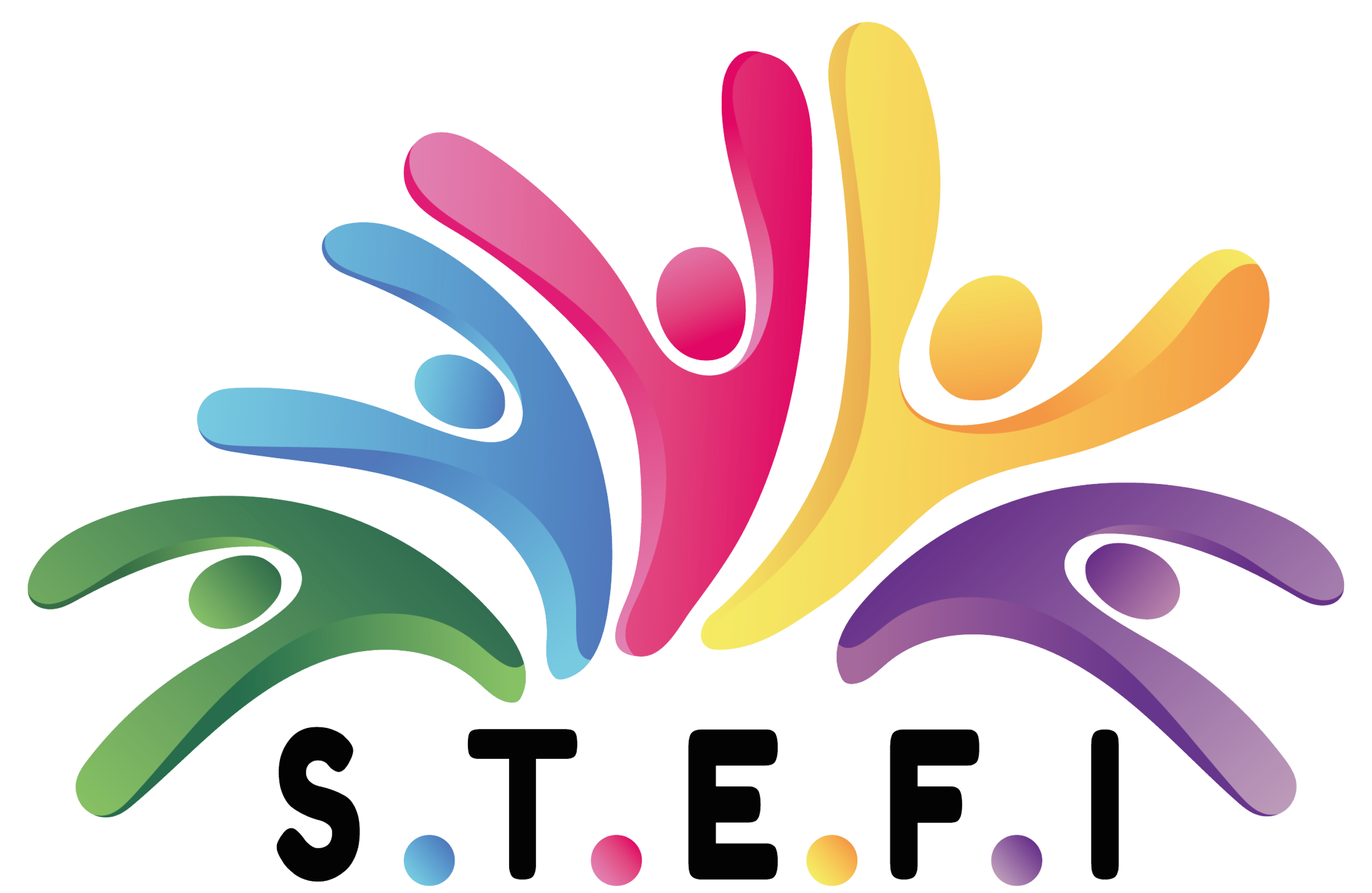 Logo de la structure ASSOC INTERMEDIAIRE STEFI