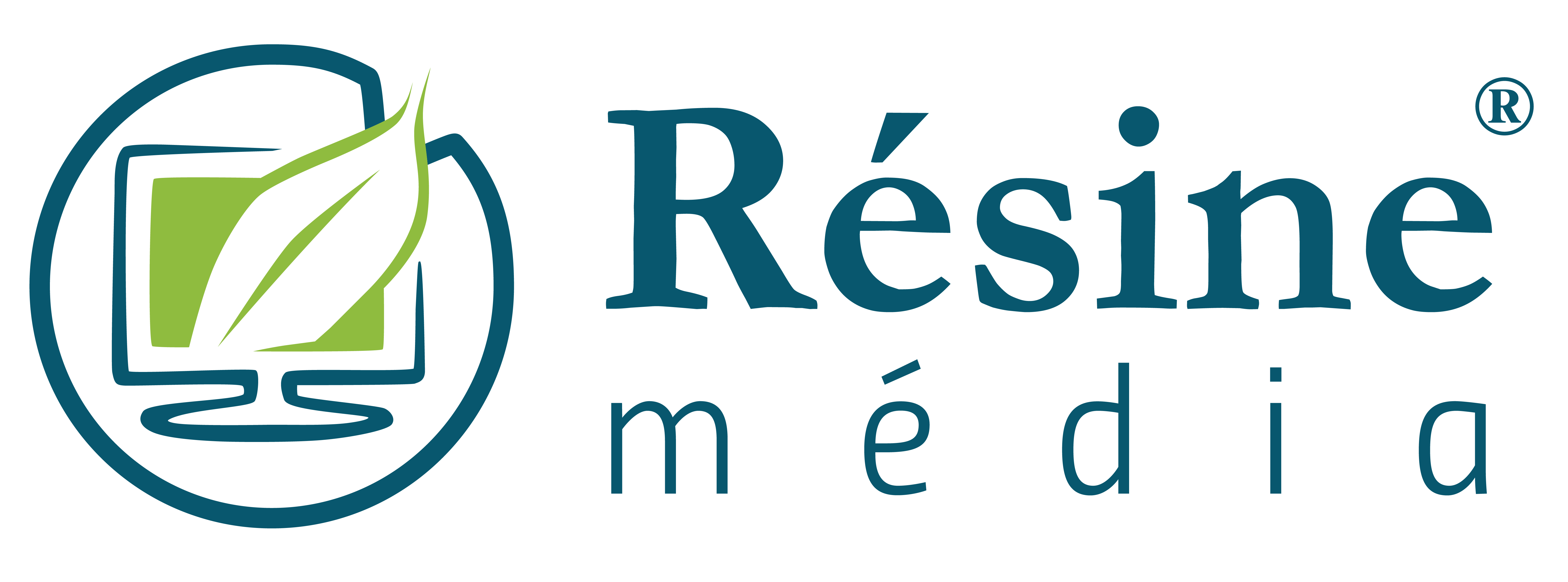Logo de la structure RESEAU SOLIDAIRE D INITIATIVES NUMERIQUES ET ECO R