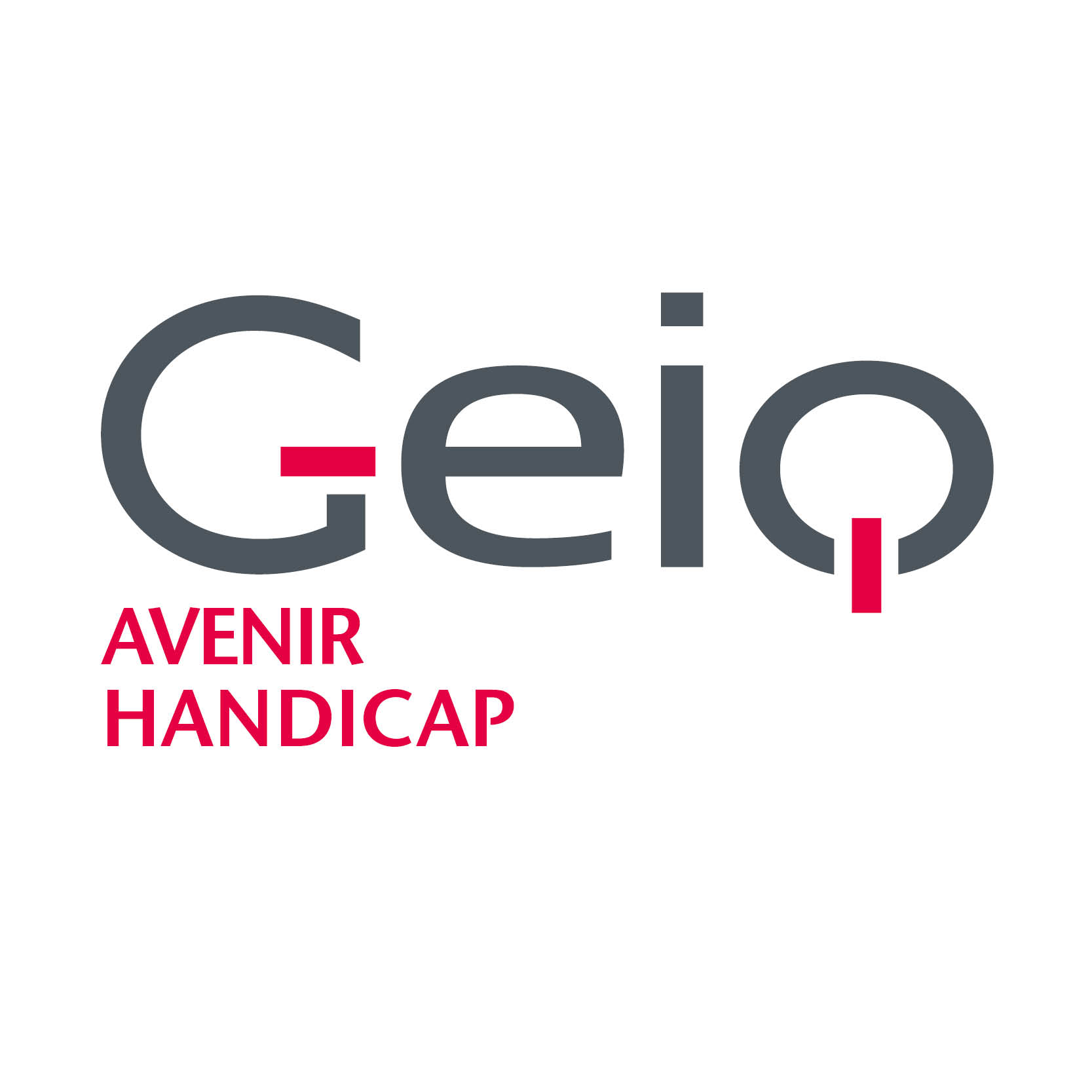 Logo de la structure GEIQ AVENIR HANDICAP