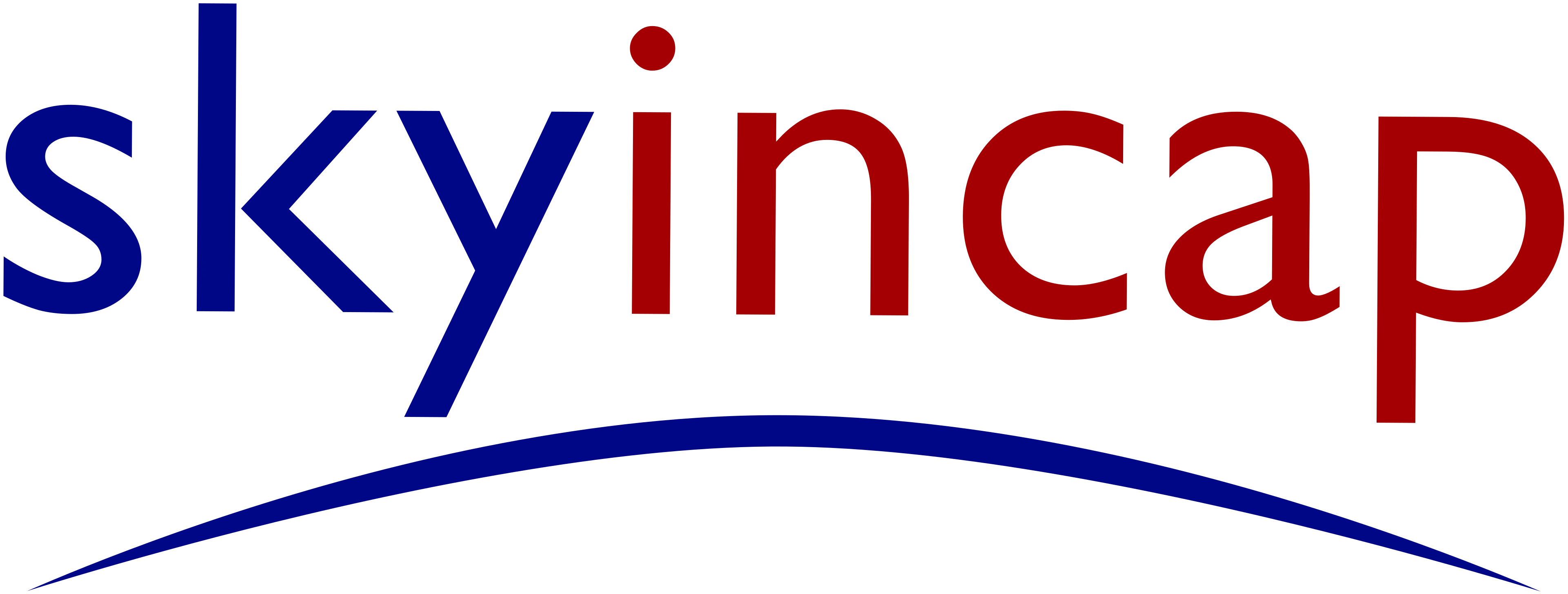 Logo de la structure Skyincap