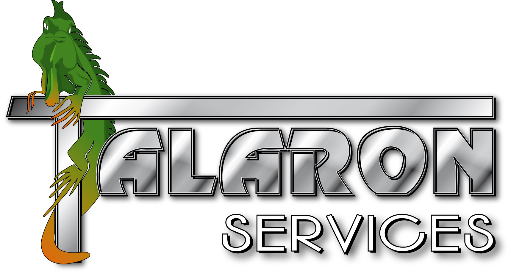 Logo de la structure Talaron Services