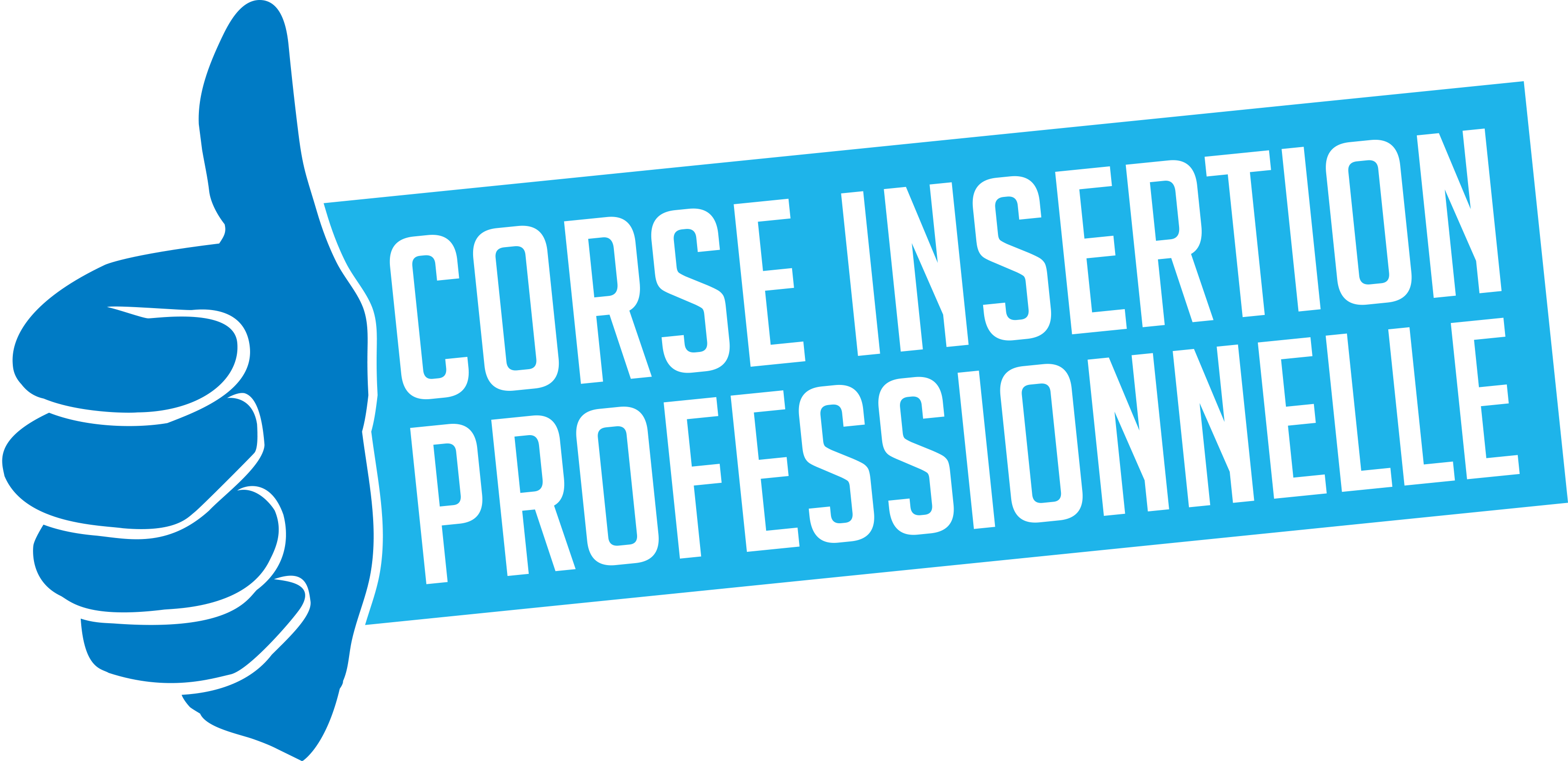 Logo de la structure ASSOC CORSE INSERTION PROFESSIONNELLE