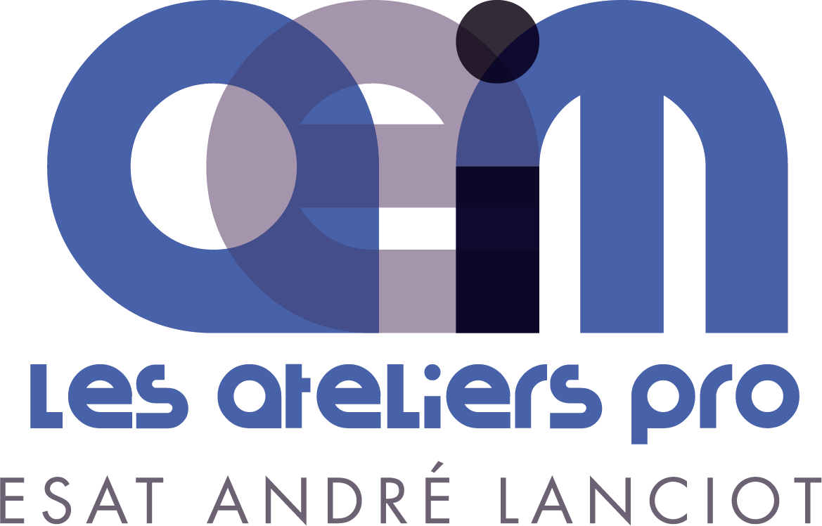 Logo de la structure ESAT ANDRÉ LANCIOT
