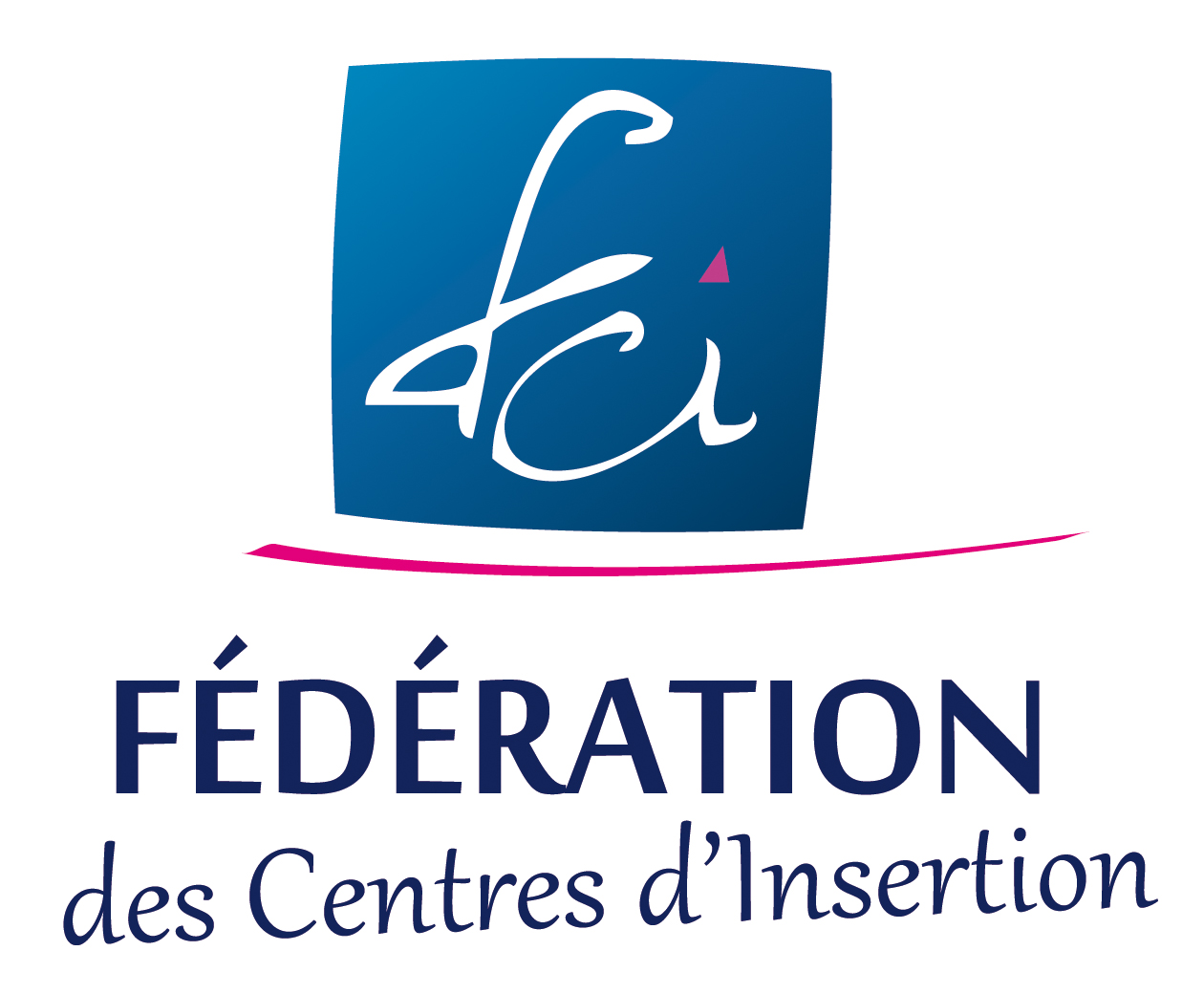 Logo de la structure FEDERATION DES CENTRES D INSERTION