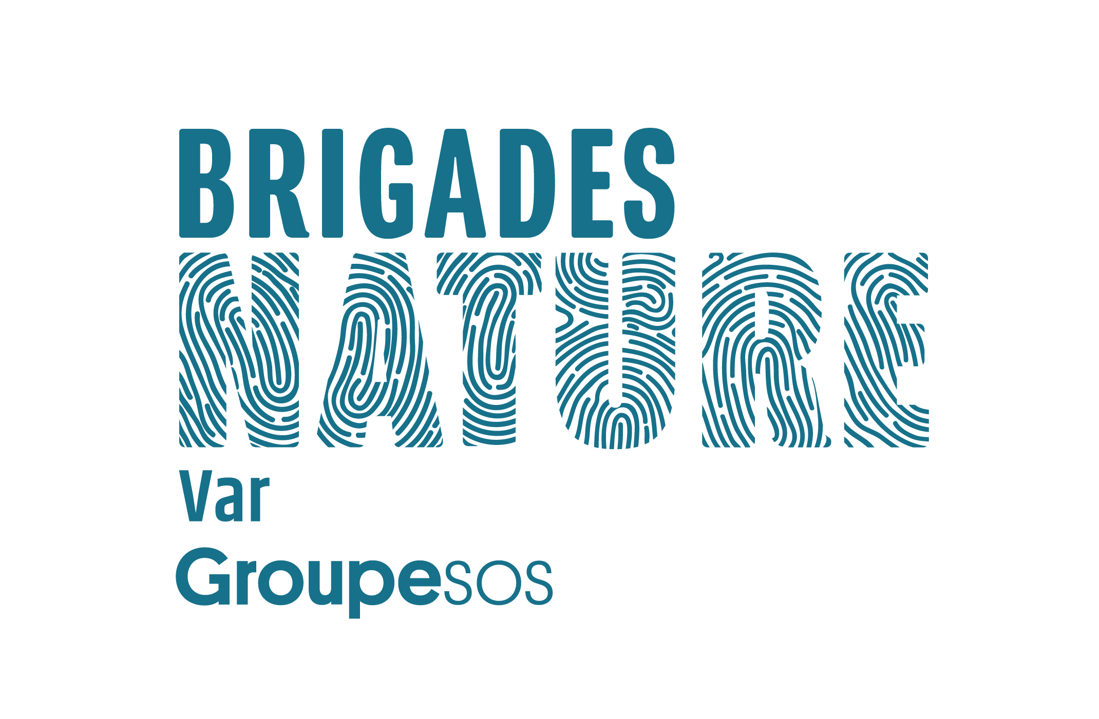 Logo de la structure BRIGADES NATURE VAR