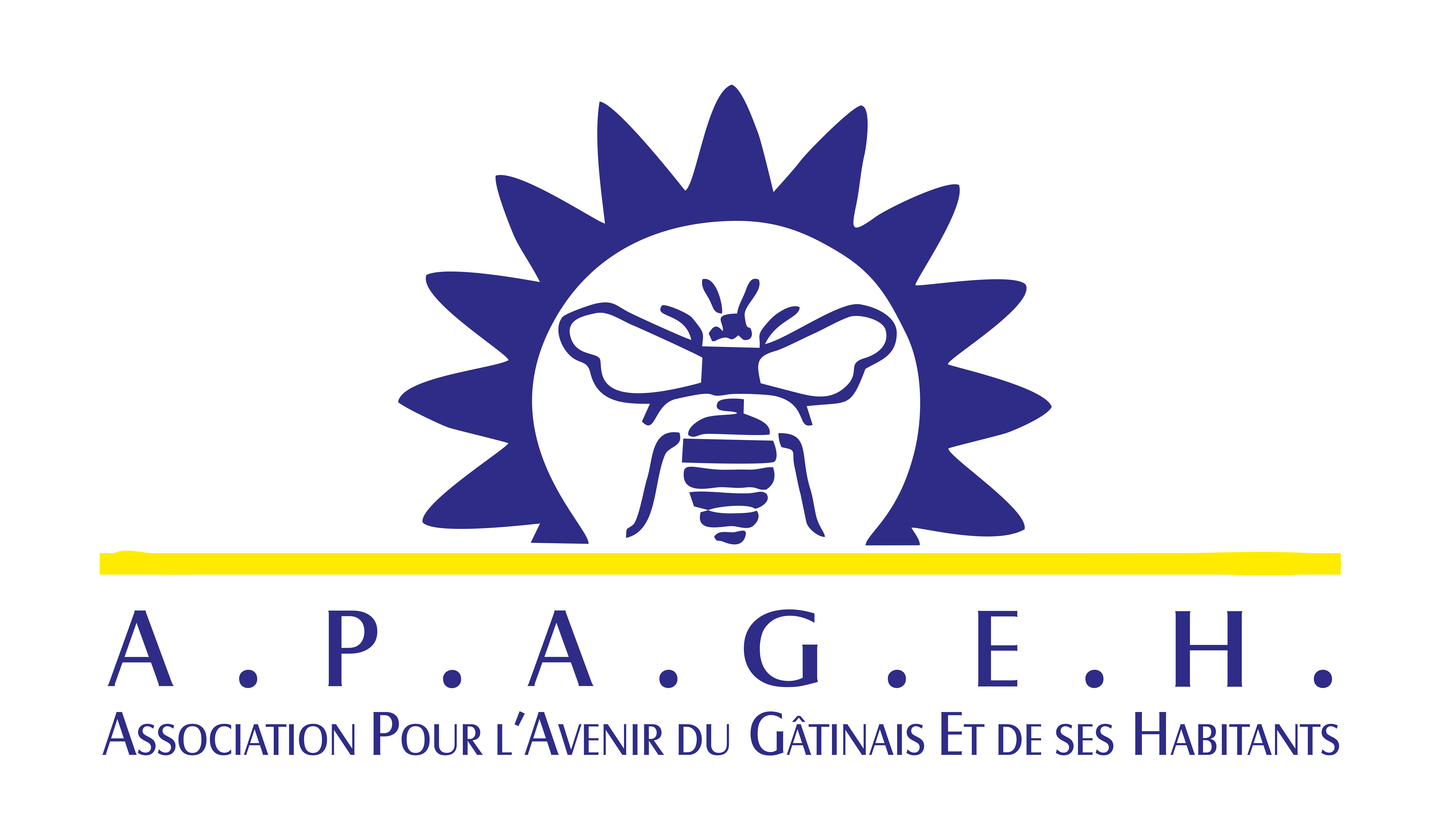 Logo de la structure APAGEH