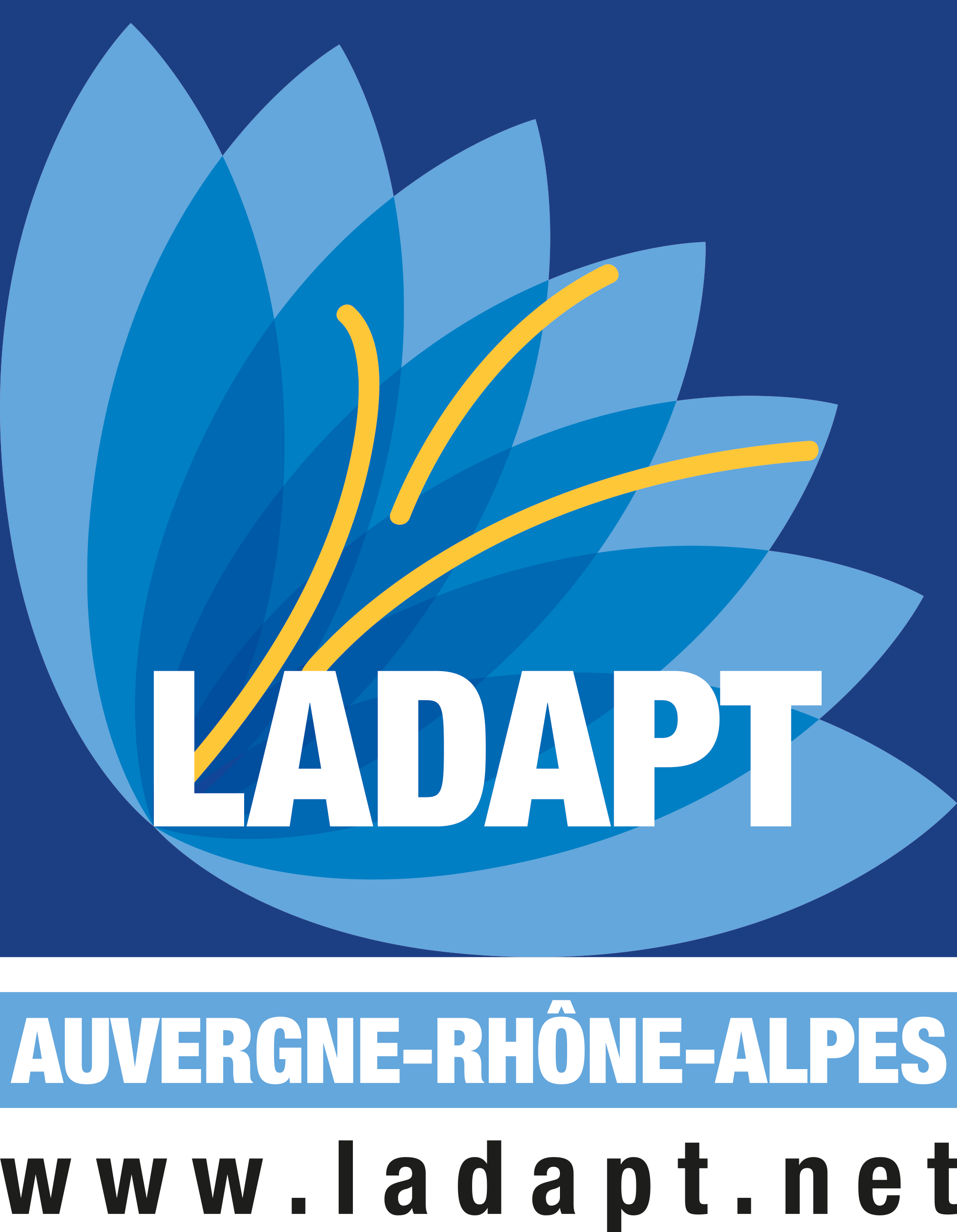 Logo de la structure ESAT HORS MURS LADAPT RHONE METROPOLE DE LYON