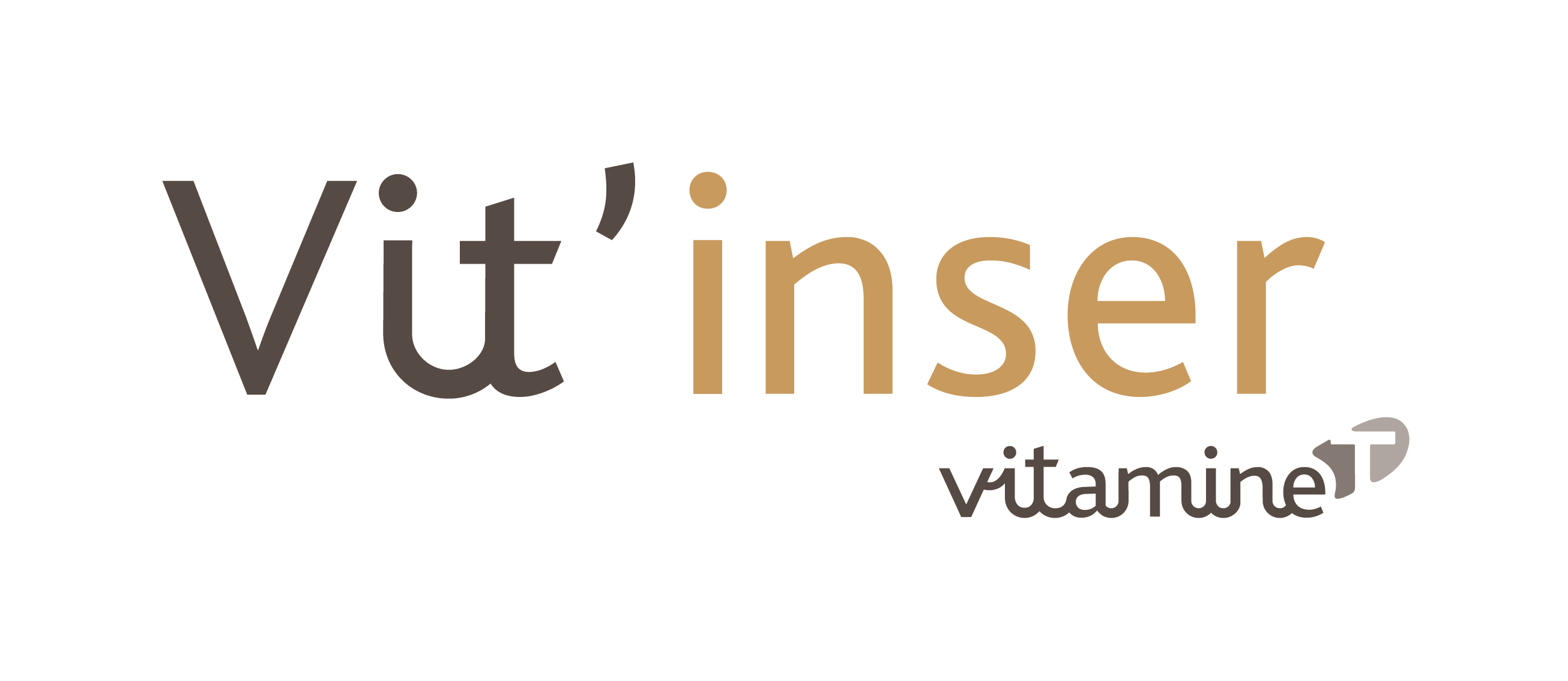 Logo de la structure VIT'INSER