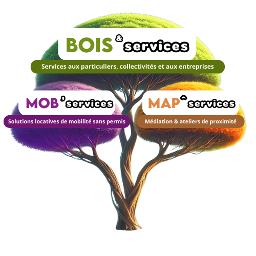 Logo de la structure BOIS ET SERVICES