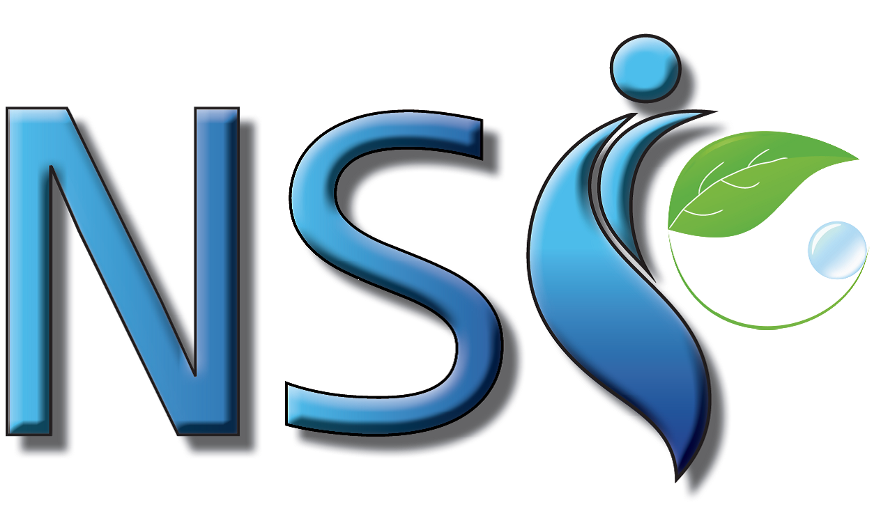 Logo de la structure NSI