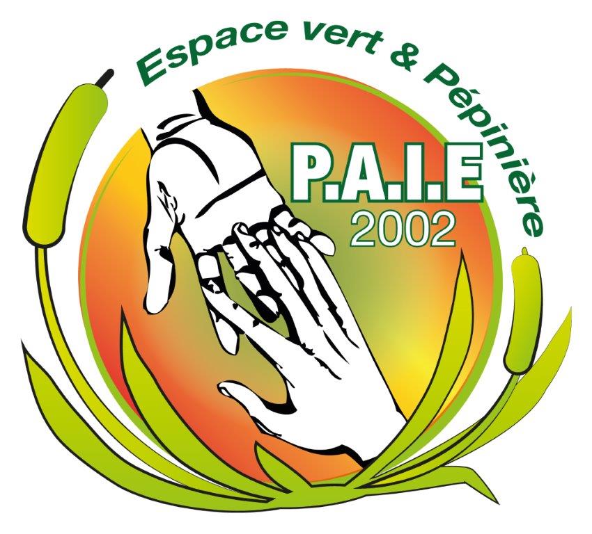 Logo de la structure ASSOC PREVENTION ACTION INSERTION EDUCATION 2002