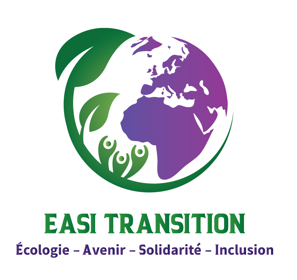 Logo de la structure EASI TRANSITION