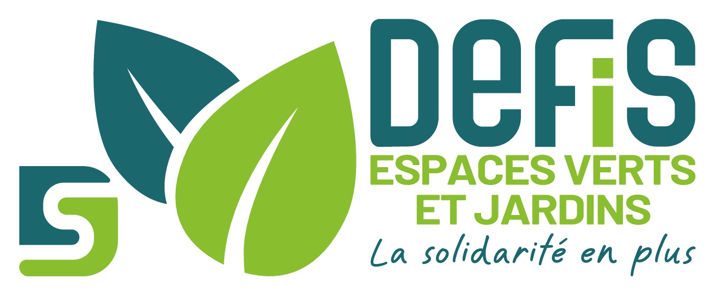 Logo de la structure DAX EMPLOI FORMATION INSERTION SOLIDARITE - ASSOCI