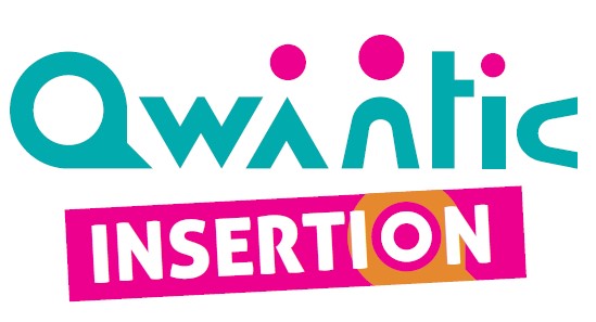 Logo de la structure QWANTIC INSERTION