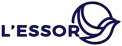 Logo de la structure Dispositif Médico-Social L'ESSOR DE MONGUILHEM