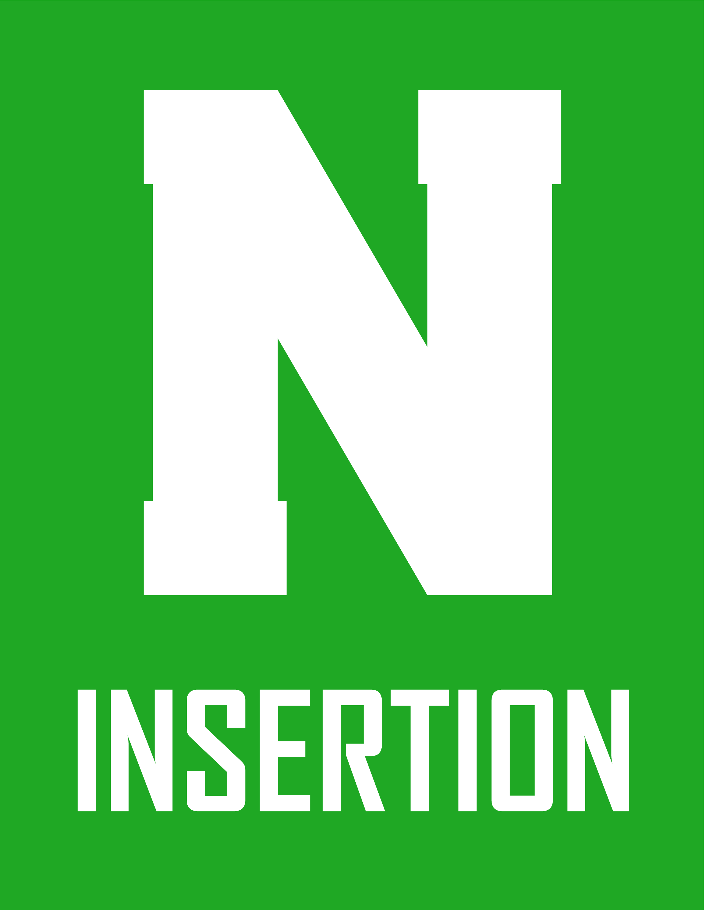 Logo de la structure N'INSERTION