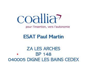 Logo de la structure ESAT PAUL MARTIN