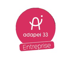 Logo de la structure ADAPEI 33 ESAT MONGAUZY