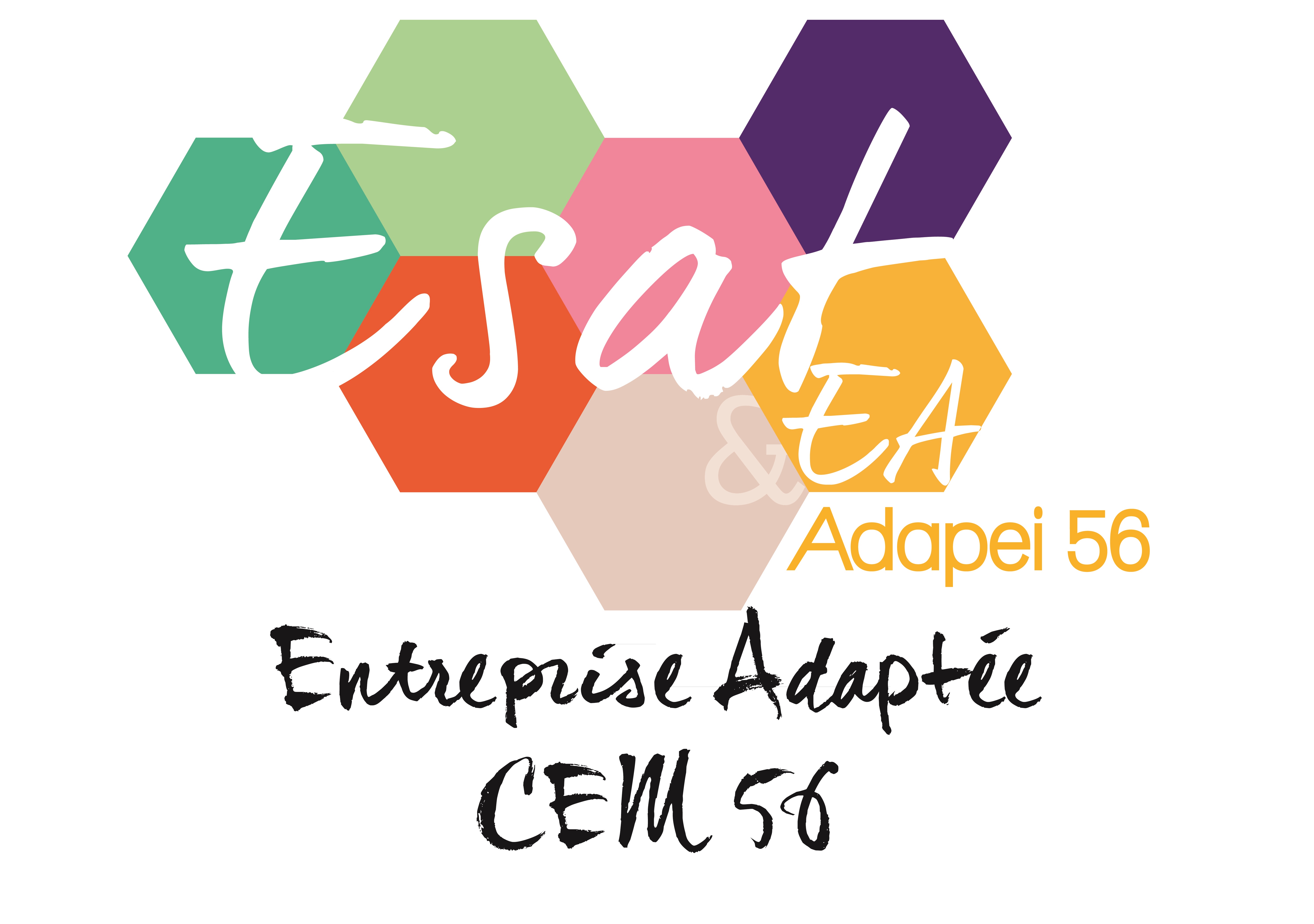 Logo de la structure Ea Cem 56