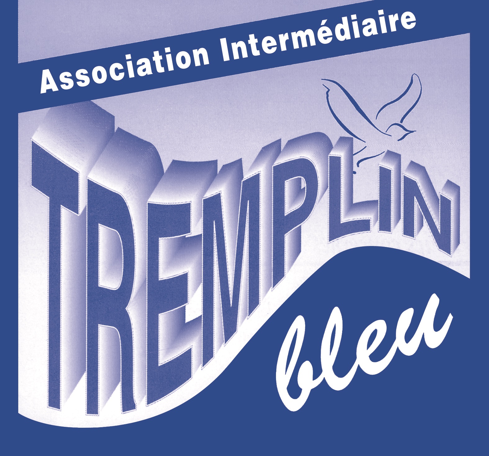 Logo de la structure ASS INTERMEDIAIRE TREMPLIN BLEU