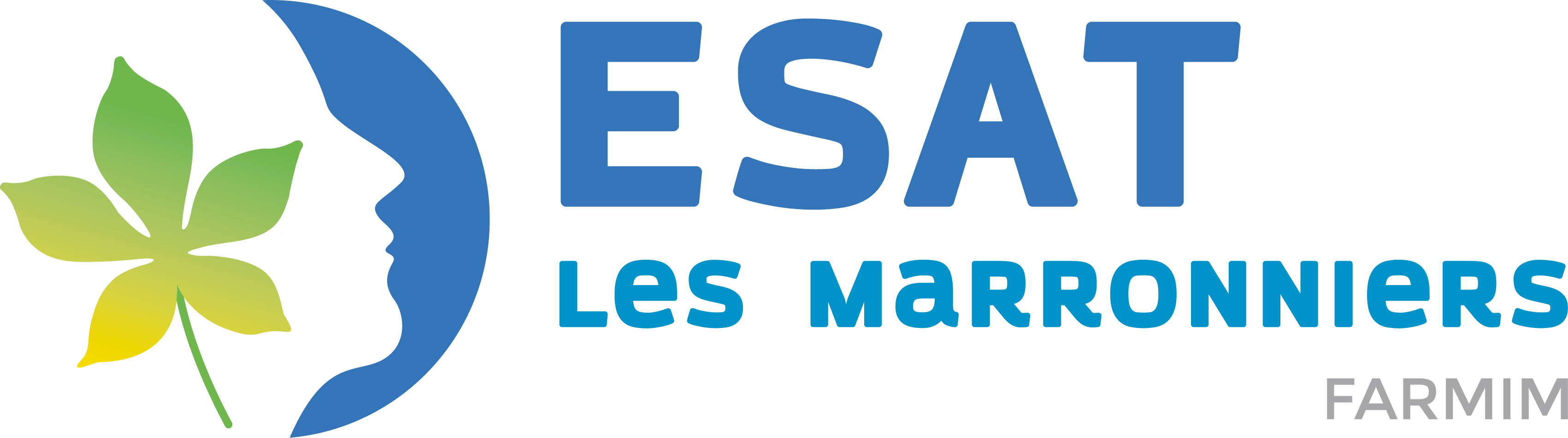 Logo de la structure ESAT LES MARRONNIERS