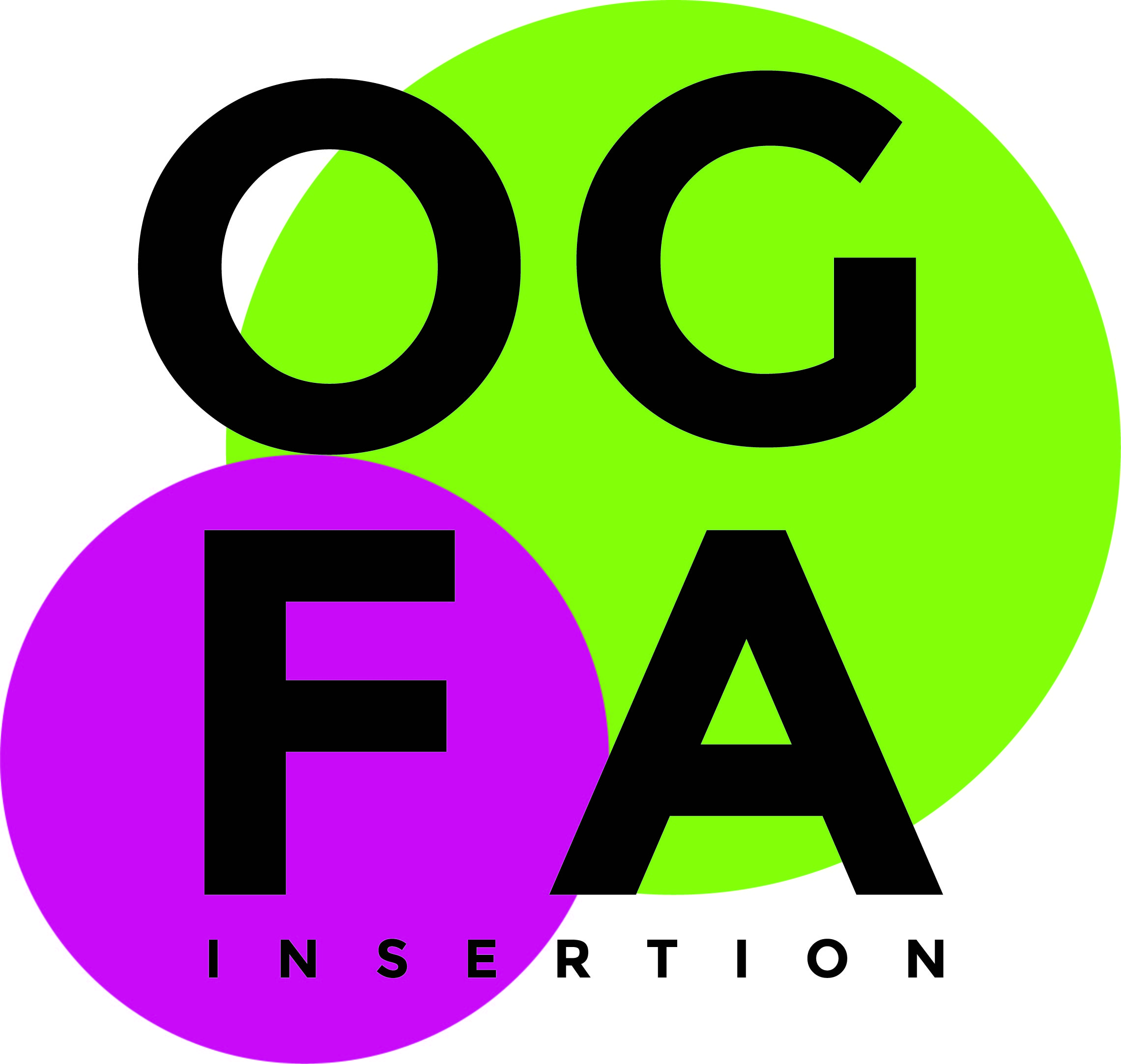 Logo de la structure OGFA INSERTION