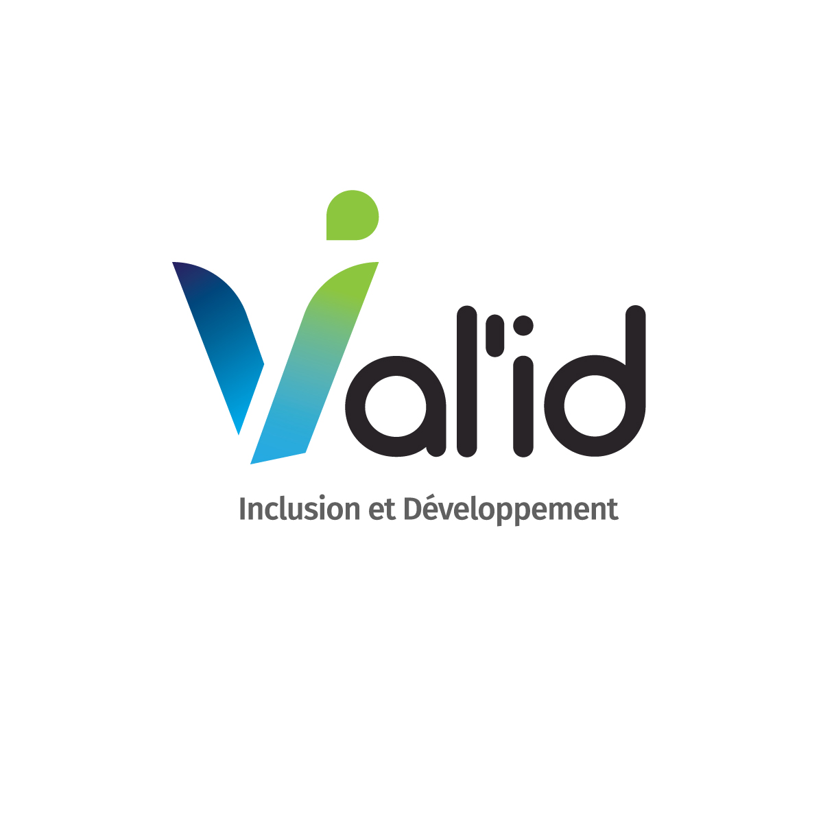 Logo de la structure VALORISATION D'ACTIONS D'INCLUSION ET DE DEVELOPPE