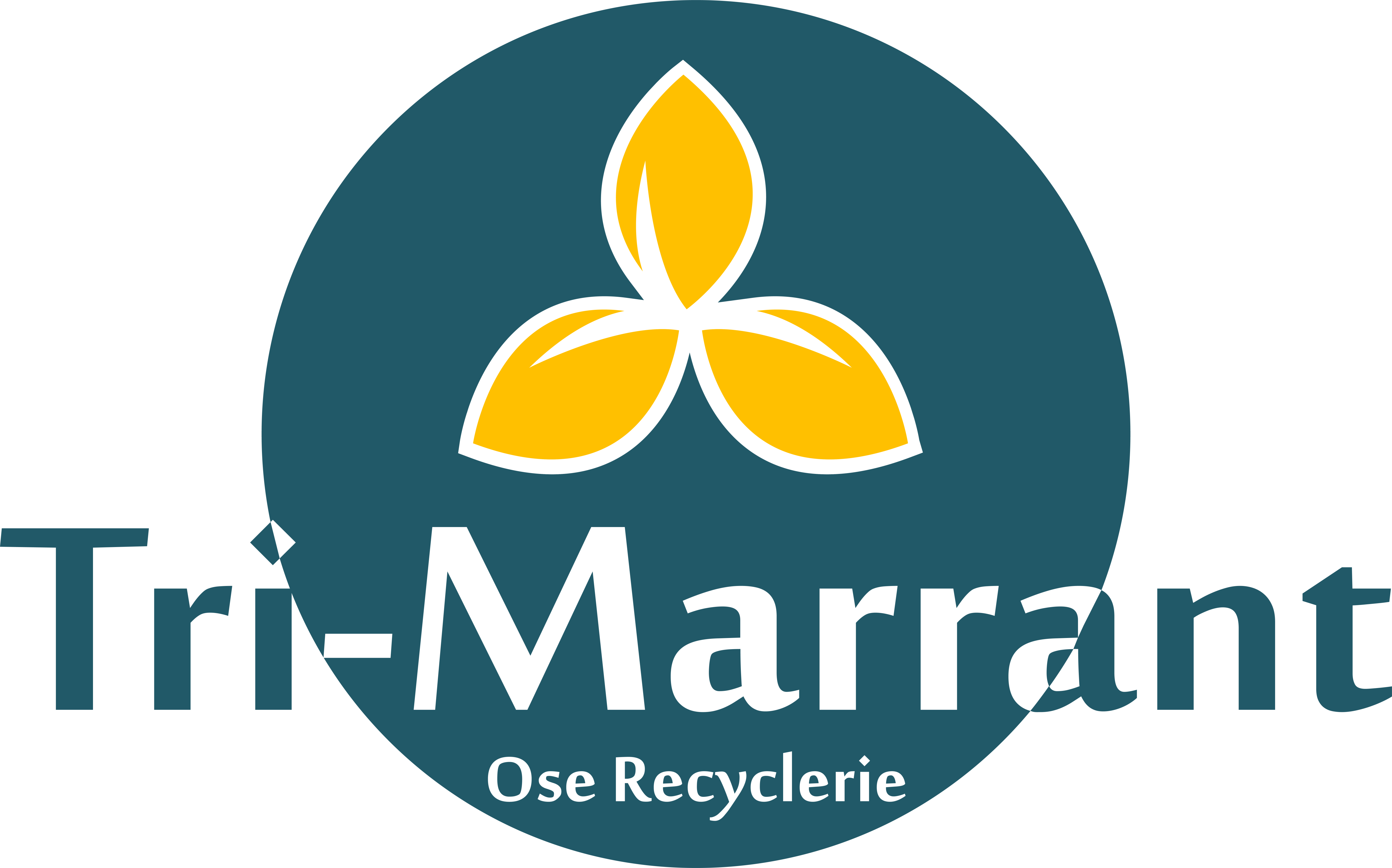 Logo de la structure OSE RECYCLERIE