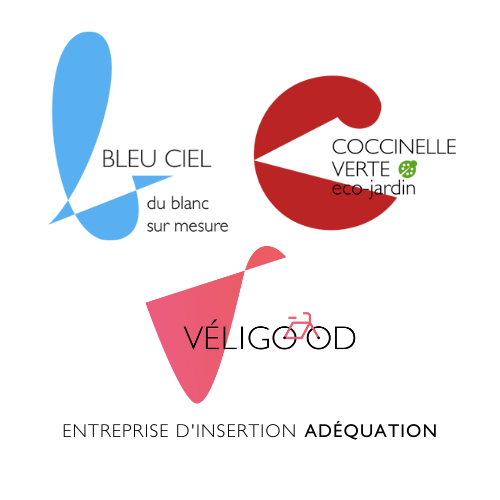 Logo de la structure ASSOC ENTREPRISE D INSERTION DU PAYS VOIRONNAIS