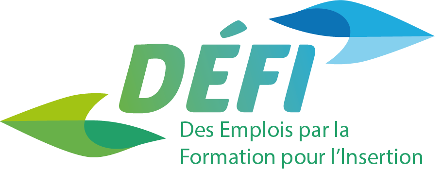 Logo de la structure DEFI (DES EMPLOIS PAR LA FORMATION POUR L'INSERTIO