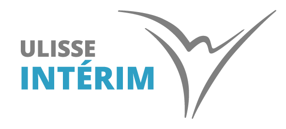 Logo de la structure E3I ENTREPRISE D INTERIM D INSERTION DE L ISERE