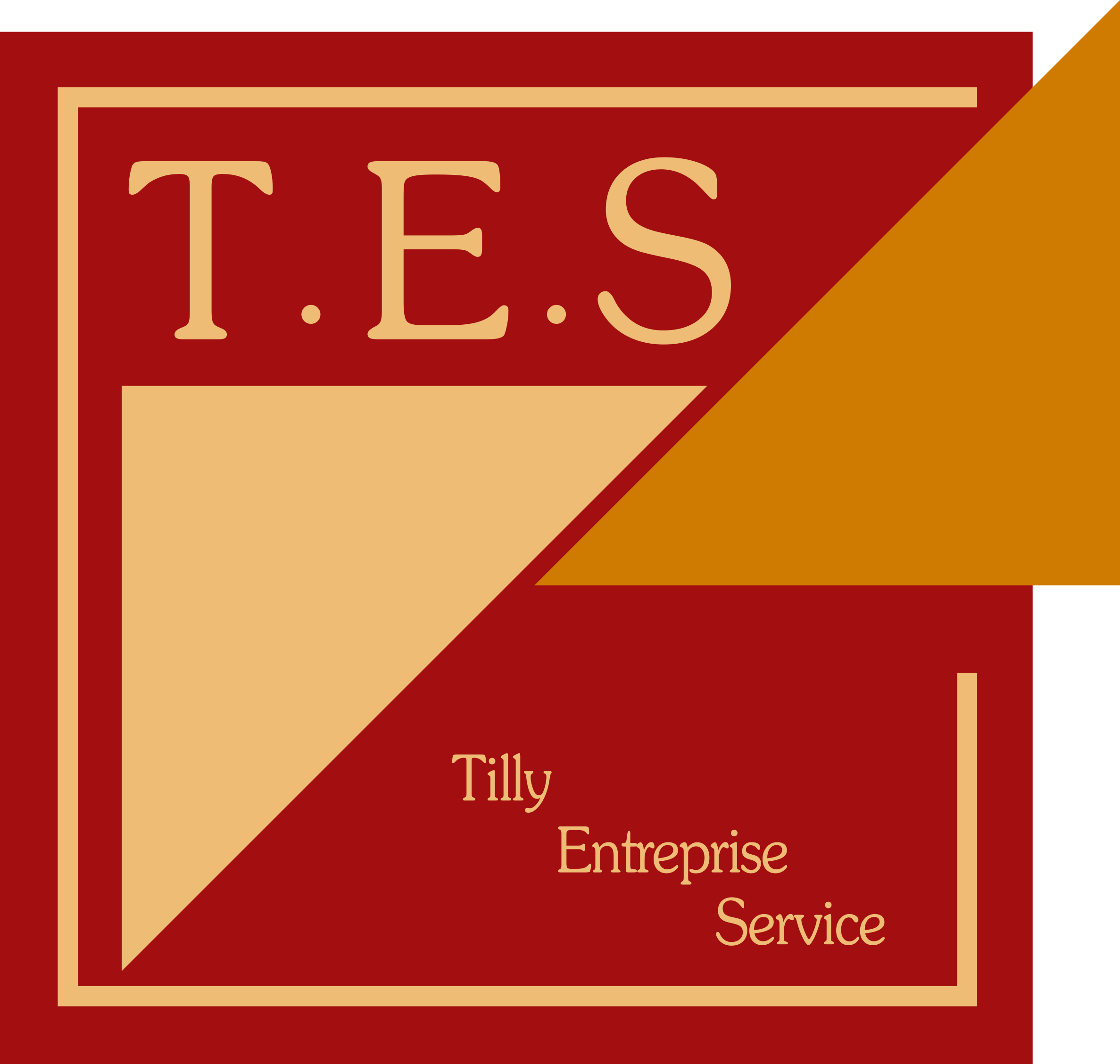 Logo de la structure Ea Tilly Entreprise Service