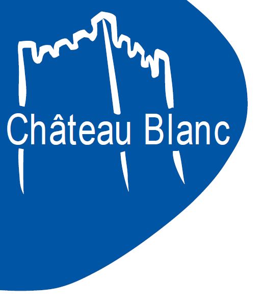 Logo de la structure ESAT CHATEAU BLANC