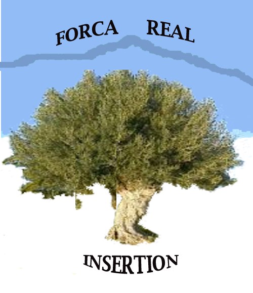 Logo de la structure AIEEFR FORCA REAL INSERTION