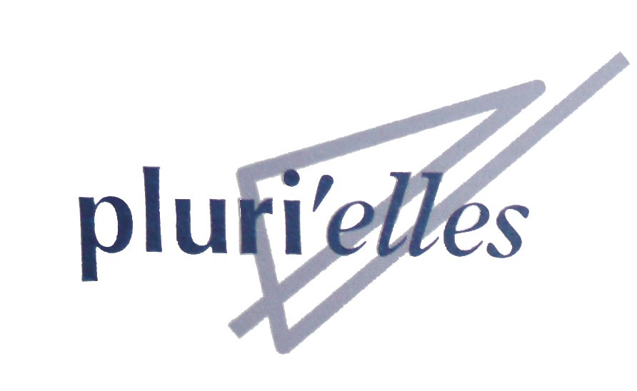 Logo de la structure Association d'Insertion PLURI'ELLES