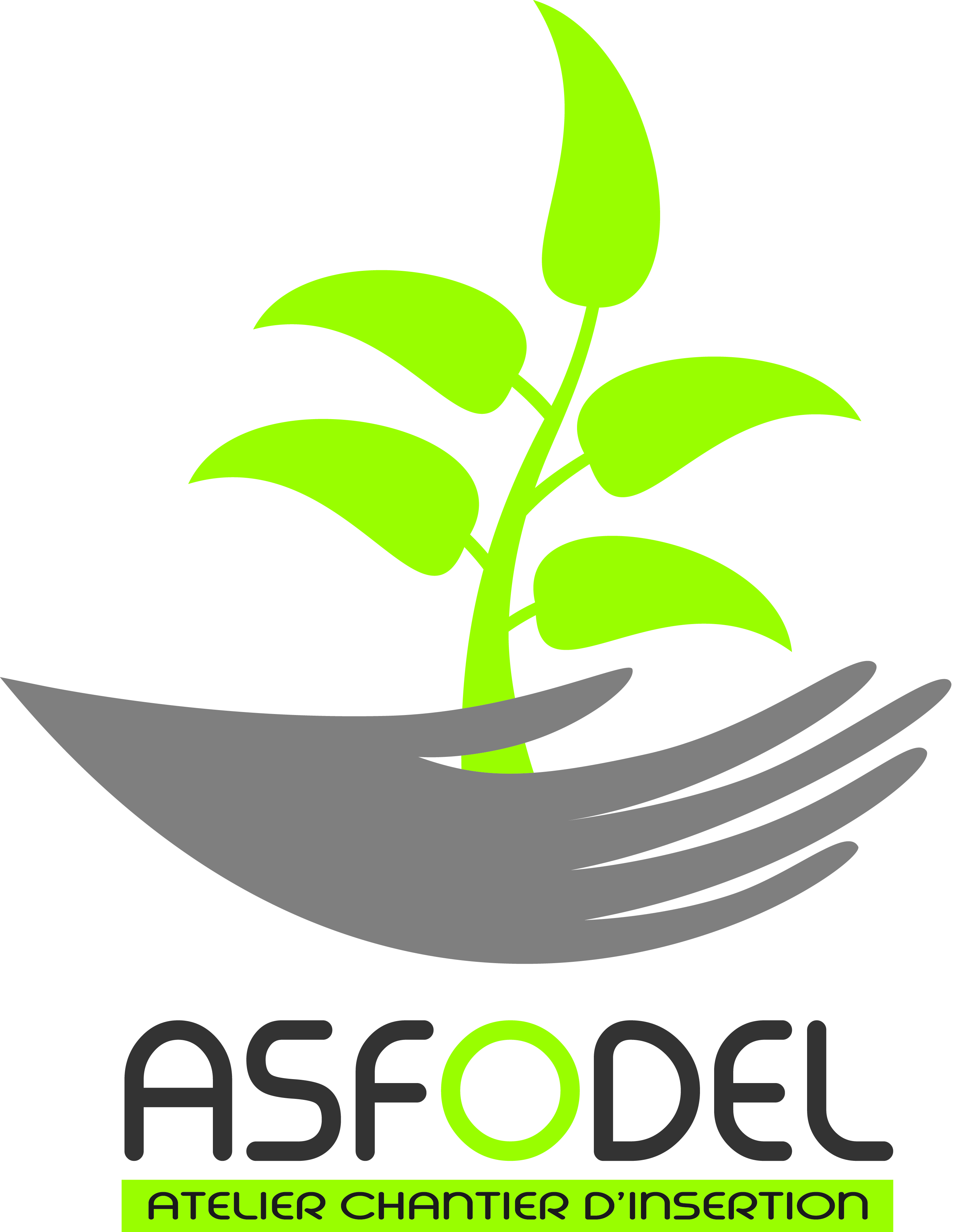 Logo de la structure ASSOC ASFODEL