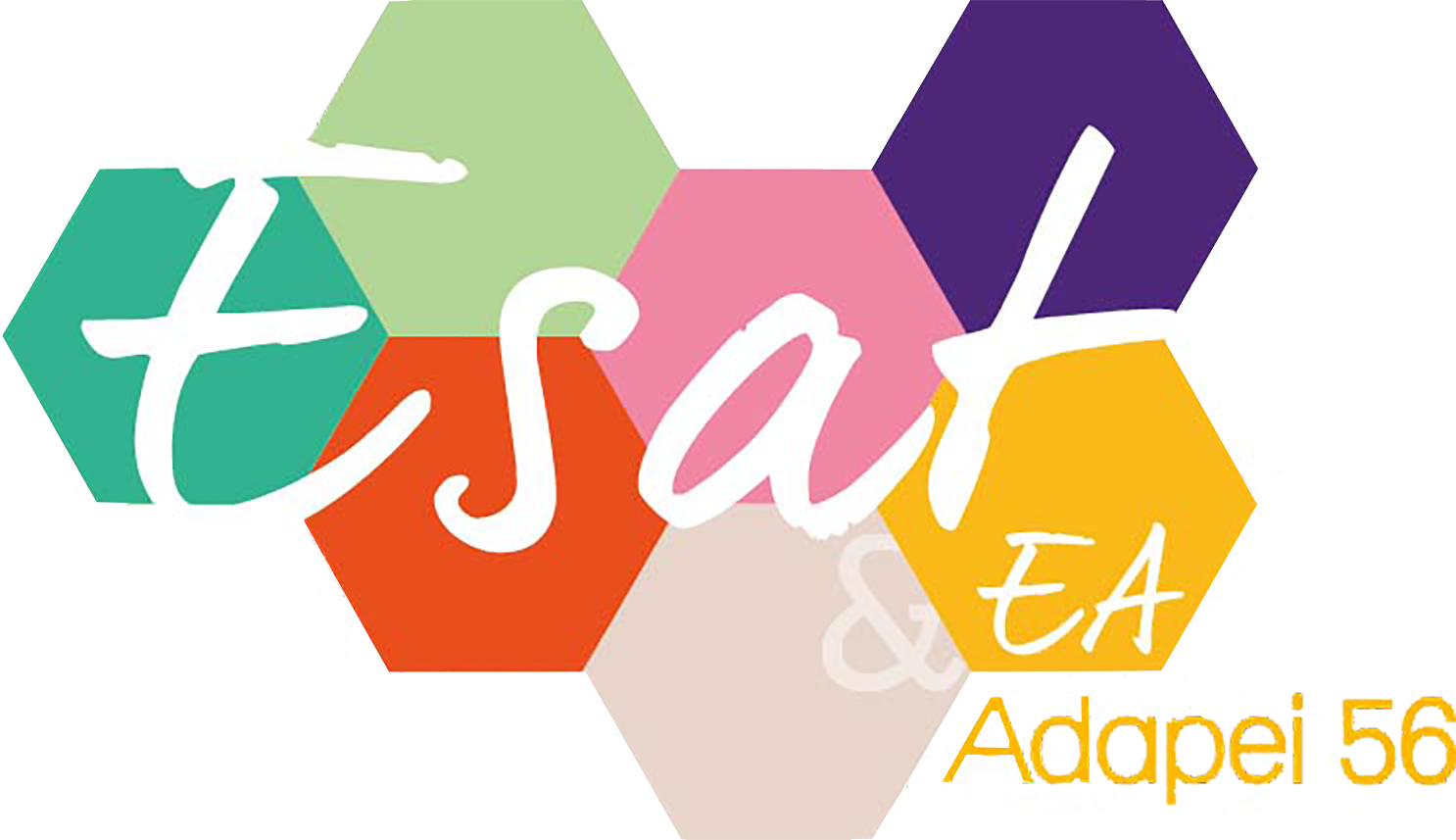 Logo de la structure ESAT ALTER EGO