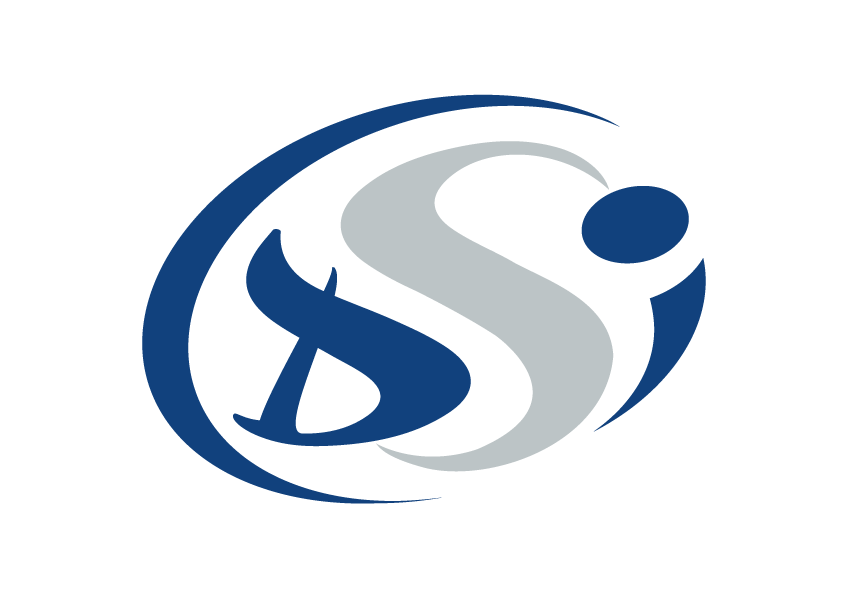 Logo de la structure Distribution Service Industriel