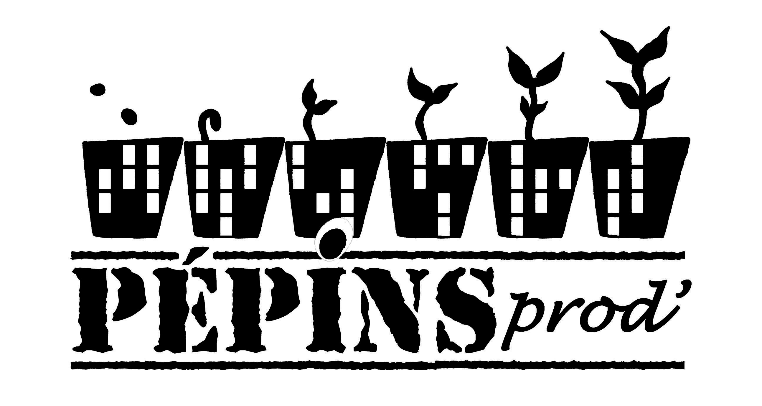 Logo de la structure PEPINS PRODUCTION LA PEPINIERE DE QUARTIER