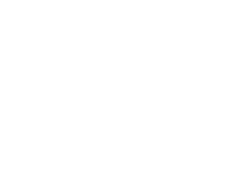 Foxintelligence