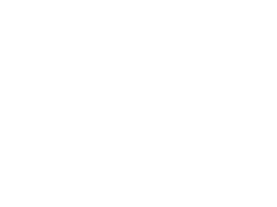 Kleio