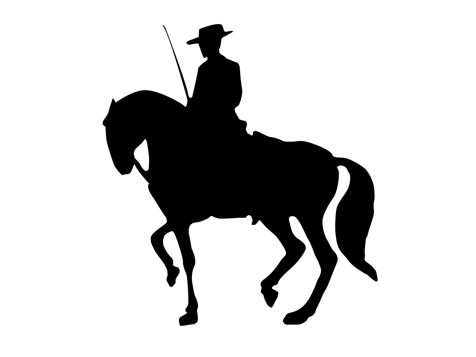 SCI Lodeven, pensions chevaux, écuries de propriétaires